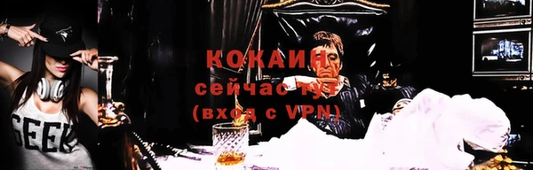 соль курить ск Каменка